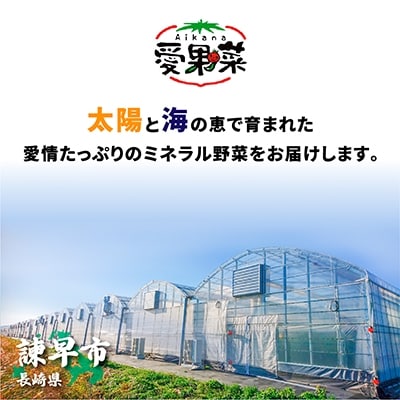 愛果菜ミニトマト