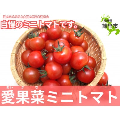 愛果菜ミニトマト～rich～