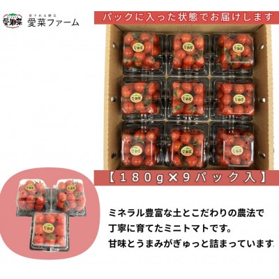 愛果菜ミニトマト～rich～