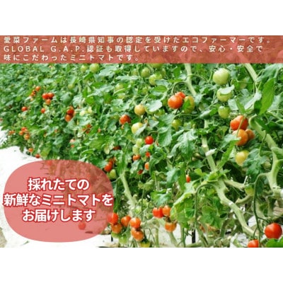 愛果菜ミニトマト～rich～
