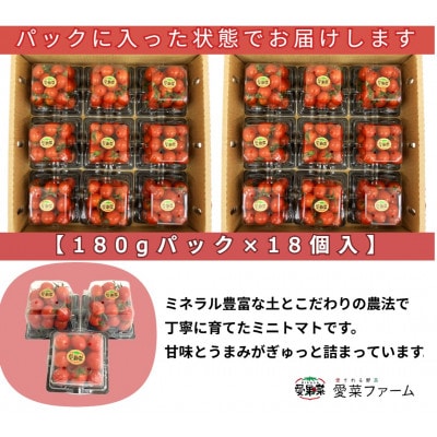 愛果菜ミニトマト～rich～2セット