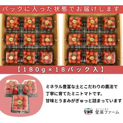 愛果菜ミニトマト～rich～2セット