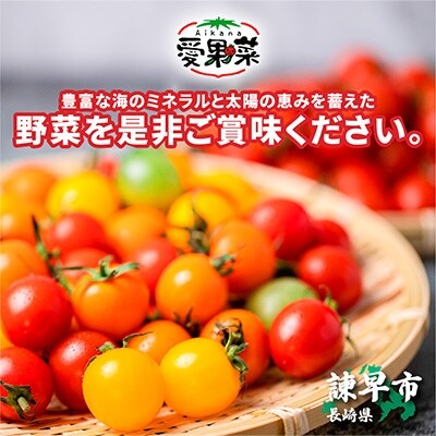 愛果菜ミニトマト×3セット