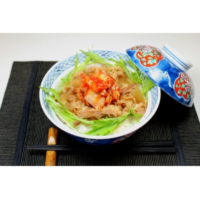 【小分け】牛丼の具10パックセット(1パック2袋入り)計20食分
