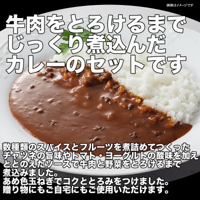 【ふるさと納税】 牛肉 を とろける まで じっくり 煮込んだ カレー 15食 常温 贈答 日本ハム