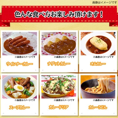 【小分け】牛肉をとろけるまでじっくり煮込んだカレー5袋セット(1袋3パック入)計15食(諫早市)
