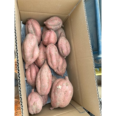 【栽培期間中農薬不使用】さつまいも「安納いも」5kg