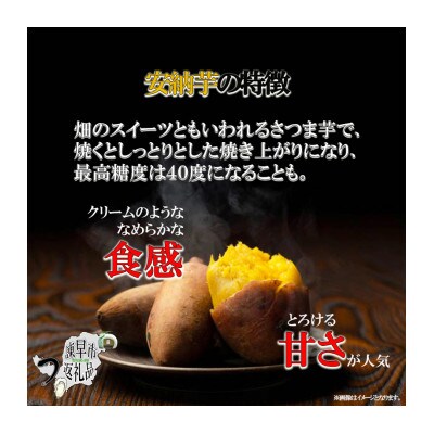 先行受付【栽培期間中農薬不使用】さつまいも「安納いも」5kg