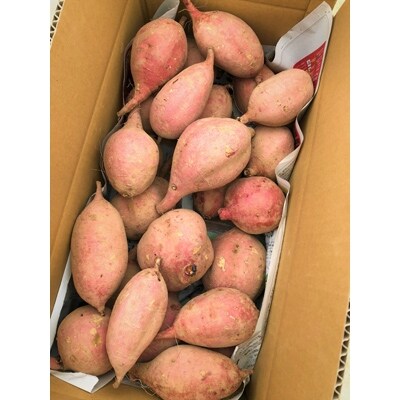 【訳あり】栽培期間中農薬不使用　さつまいも「安納芋」5kg