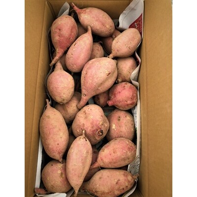 【訳あり】栽培期間中農薬不使用　さつまいも「安納芋」5kg