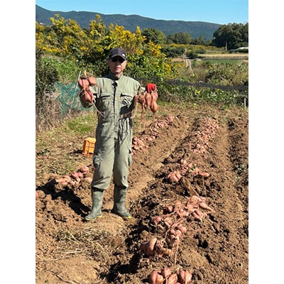 【訳あり】栽培期間中農薬不使用　さつまいも「安納芋」5kg