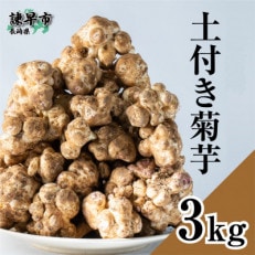 栽培期間中農薬不使用 土付き菊芋3kg