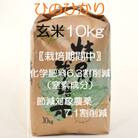 【令和7年産】特別栽培米・九州のこだわり米「ひのひかり」 玄米10kg