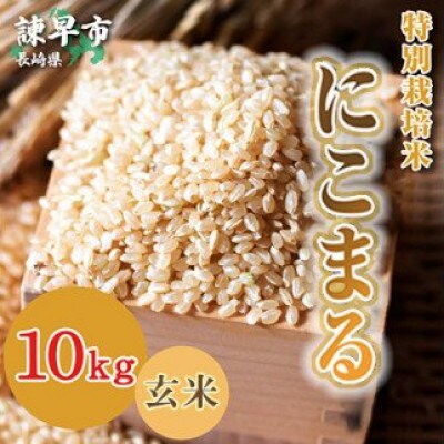 【令和4年産】 特別栽培米・九州のこだわり「にこまる」 玄米10kg