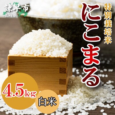 【令和7年産】特別栽培米・九州のこだわり米「にこまる」白米4.5kg