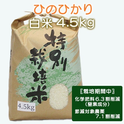 【令和7年産】特別栽培米・九州のこだわり米「ひのひかり」白米4.5kg