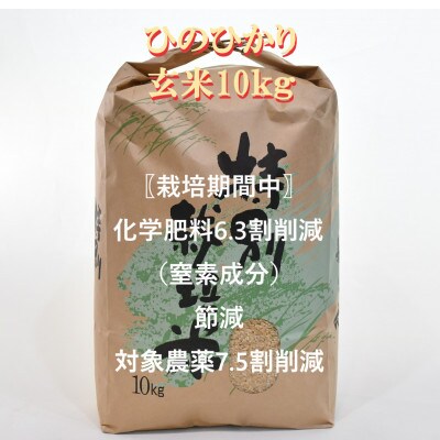 【毎月定期便】特別栽培米・九州のこだわり米「ひのひかり 」玄米10kg全3回