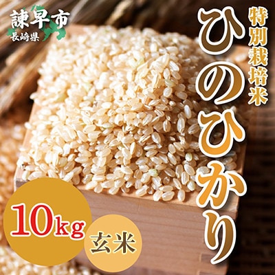 【毎月定期便】特別栽培米・九州のこだわり米「ひのひかり 」玄米10kg全3回
