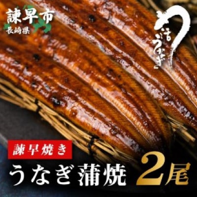 【諫早淡水】 うなぎ蒲焼2尾