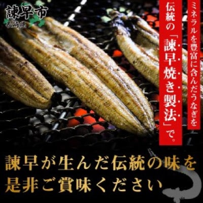 【諫早淡水】 うなぎ白焼き2尾