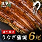 【諫早淡水】 うなぎ蒲焼6尾
