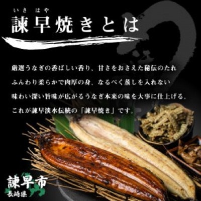 【諫早淡水】 うなぎ白焼き6尾