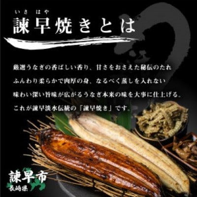 【諫早淡水】 うなぎ蒲焼3尾&白焼き3尾セット