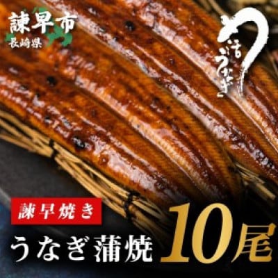 【諫早淡水】 うなぎ蒲焼10尾