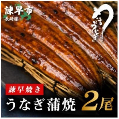 【1尾180g前後サイズ】うなぎ蒲焼2尾