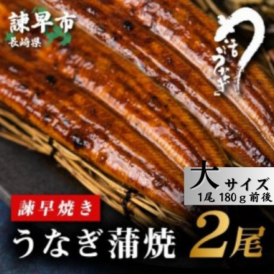 【諫早淡水】うなぎ蒲焼2尾　大サイズ(1尾180g前後)