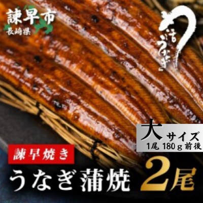 【毎月定期便】【諫早淡水】うなぎ蒲焼2尾　大サイズ(1尾180g前後)全3回
