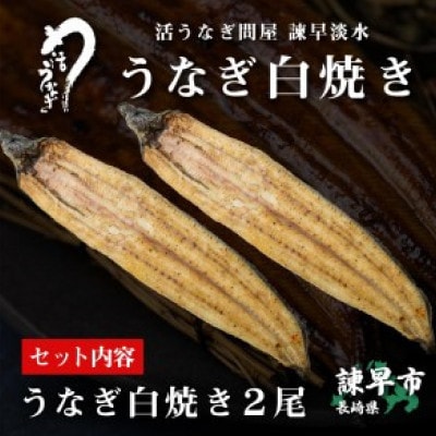 【毎月定期便】【諫早淡水】 うなぎ白焼き2尾　大サイズ(1尾180g前後)全3回