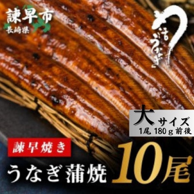 【毎月定期便】【諫早淡水】うなぎ蒲焼10尾　大サイズ(1尾180g前後)全3回