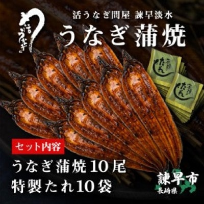 【毎月定期便】【諫早淡水】うなぎ蒲焼10尾　大サイズ(1尾180g前後)全3回