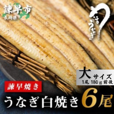 【毎月定期便】【諫早淡水】 うなぎ白焼き6尾　大サイズ(1尾180g前後)全3回