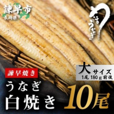 【毎月定期便】【諫早淡水】 うなぎ白焼き10尾　大サイズ(1尾180g前後)全3回
