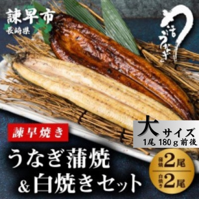 【毎月定期便】【諫早淡水】 うなぎ蒲焼2尾&白焼き2尾　大サイズ(1尾180g前後)全3回