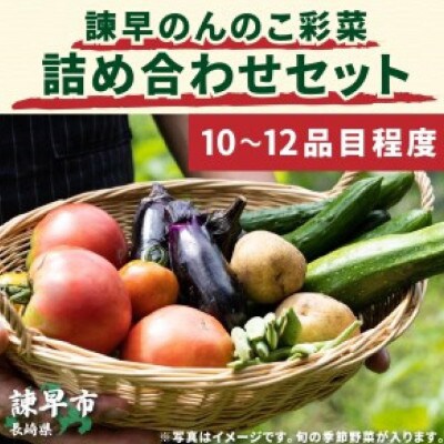 諫早のんのこ彩菜・詰め合わせセット