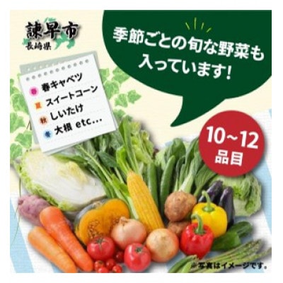 諫早のんのこ彩菜・詰め合わせセット