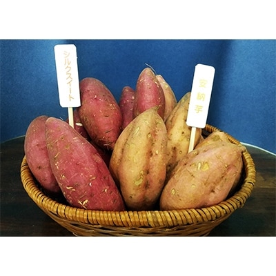 諫早市産サツマイモ5kg 安納芋 シルクスイート 詰め合わせセット お礼品詳細 ふるさと納税なら さとふる