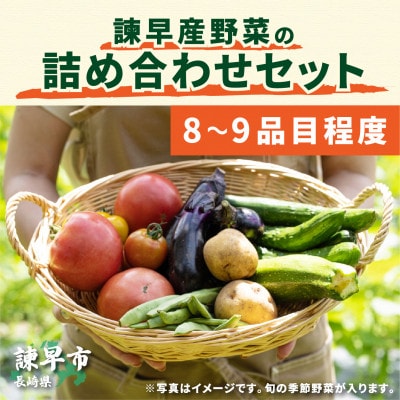 【毎月定期便】諫早産野菜の詰め合わせ(8～9品目)全12回