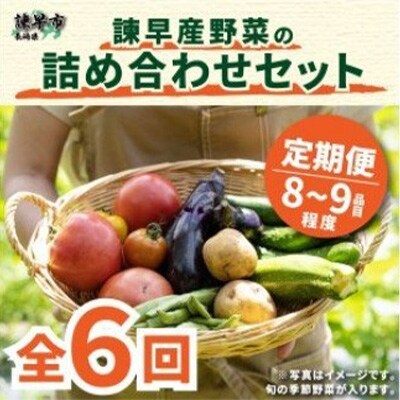 2022年3月発送開始『定期便』諫早産野菜の詰め合わせ(8～9品目)全6回
