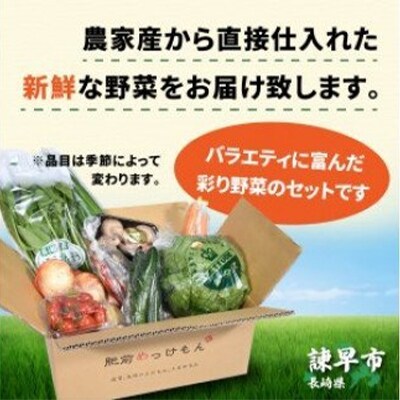 2022年3月発送開始『定期便』諫早産野菜の詰め合わせ(8～9品目)全6回