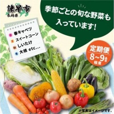 2022年3月発送開始『定期便』諫早産野菜の詰め合わせ(8～9品目)全12回