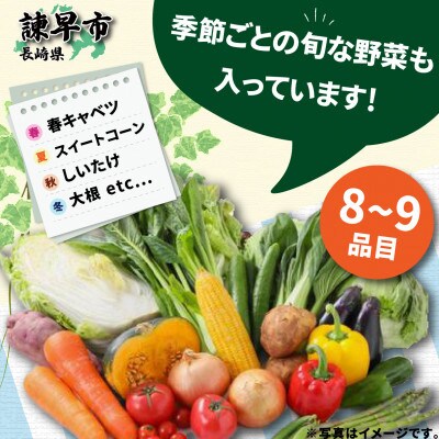 2023年9月発送開始『定期便』諫早産野菜の詰め合わせ(8～9品目)全3回