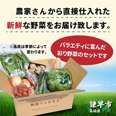 2023年11月発送開始『定期便』諫早産野菜の詰め合わせ(8～9品目)全6回