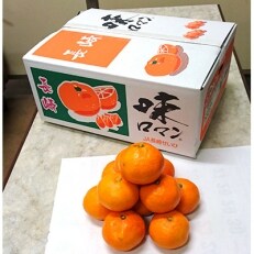 長崎みかん 味ロマン5kg