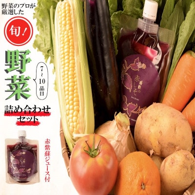 2023年11月発送開始『定期便』旬の季節野菜等おまかせ詰め合わせセット全6回