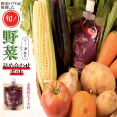 2023年5月発送開始『定期便』旬の季節野菜等おまかせ詰め合わせセット全7回