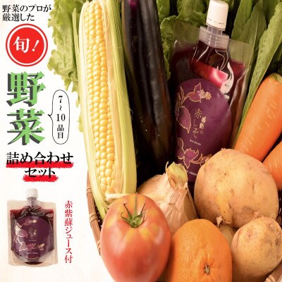 2023年3月発送開始『定期便』旬の季節野菜等おまかせ詰め合わせプレミアムセット全3回